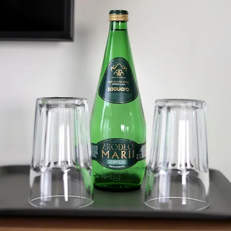 Bulgarska 59a- 公寓 波兹南